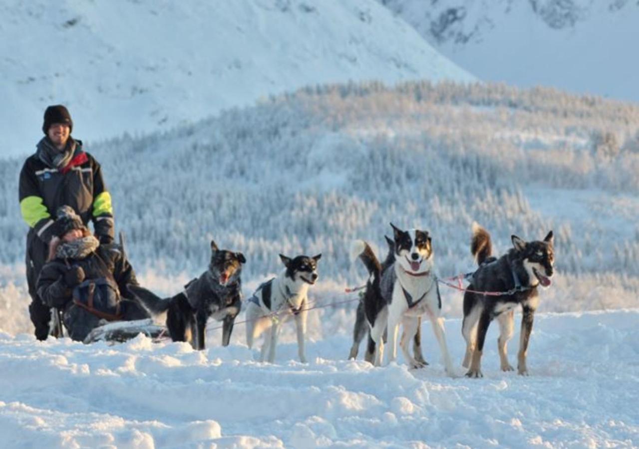 Lyngen Experience Lodge Nord-Lenangen المظهر الخارجي الصورة