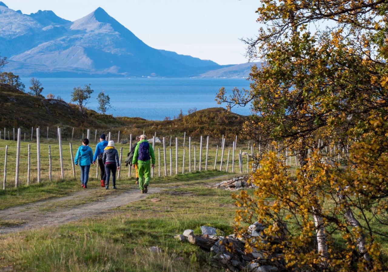 Lyngen Experience Lodge Nord-Lenangen المظهر الخارجي الصورة
