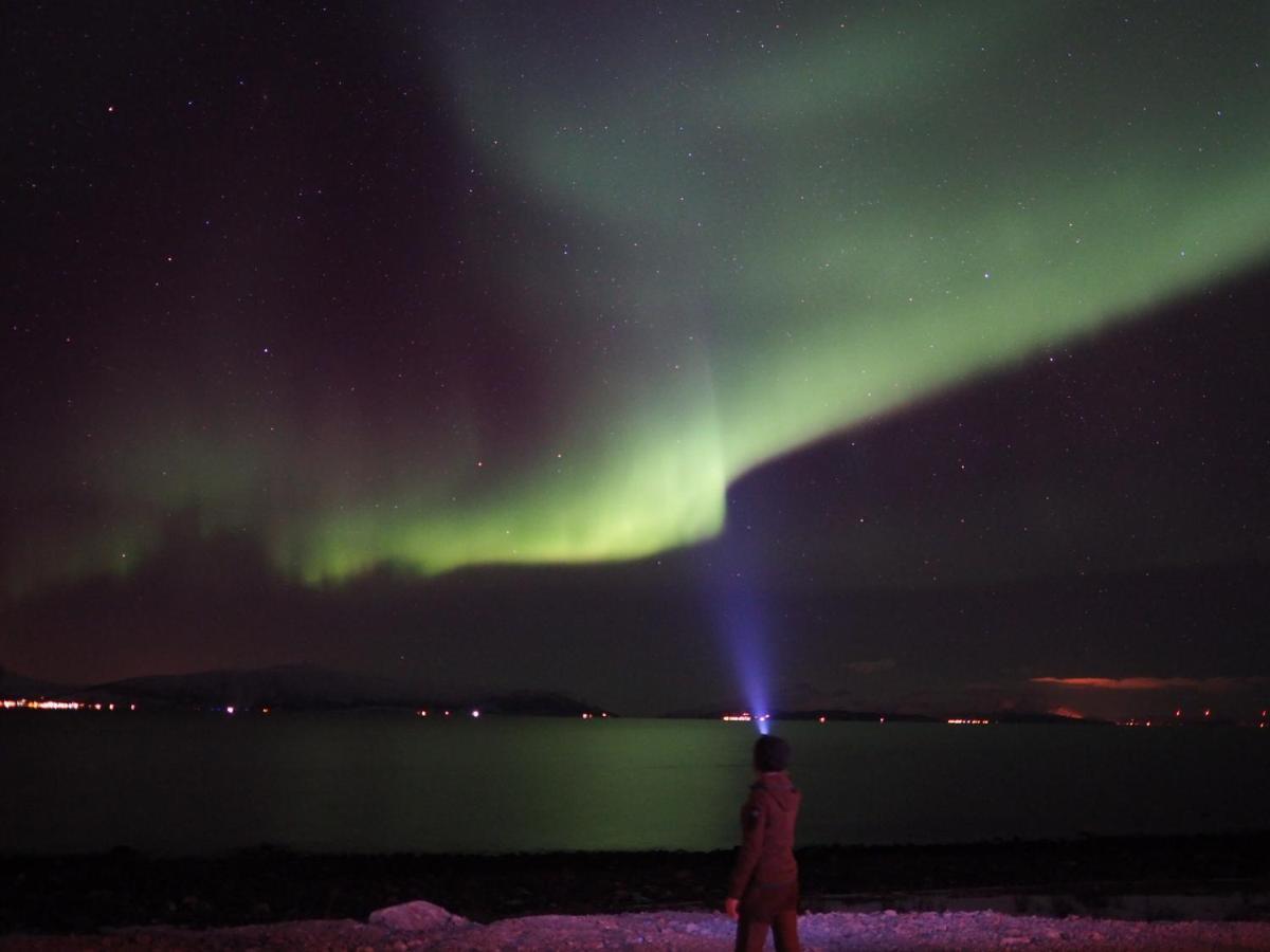 Lyngen Experience Lodge Nord-Lenangen المظهر الخارجي الصورة