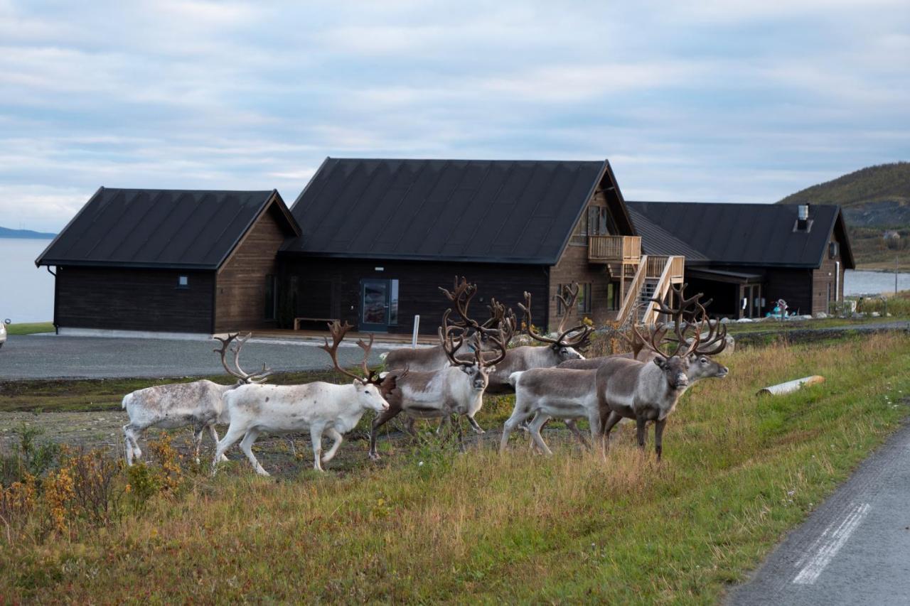 Lyngen Experience Lodge Nord-Lenangen المظهر الخارجي الصورة